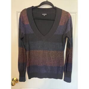 Express Womens Medium Sweater Sparkle Striped LongSleeve Blue Black Purple VNeck